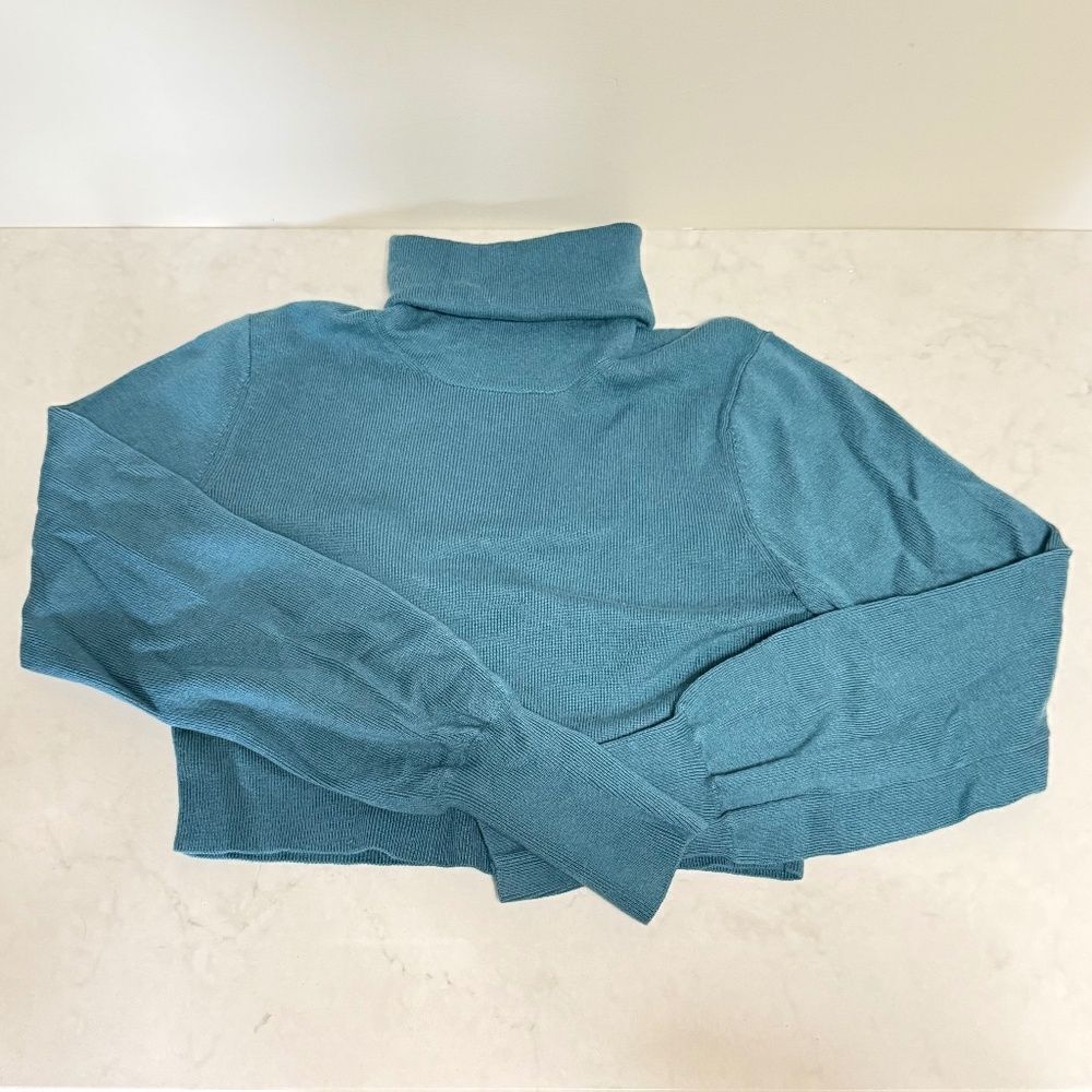 BNWOT Aritzia Wilfred Rebecca Turtleneck - size xxs